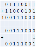 1진 보수의 덧셈
